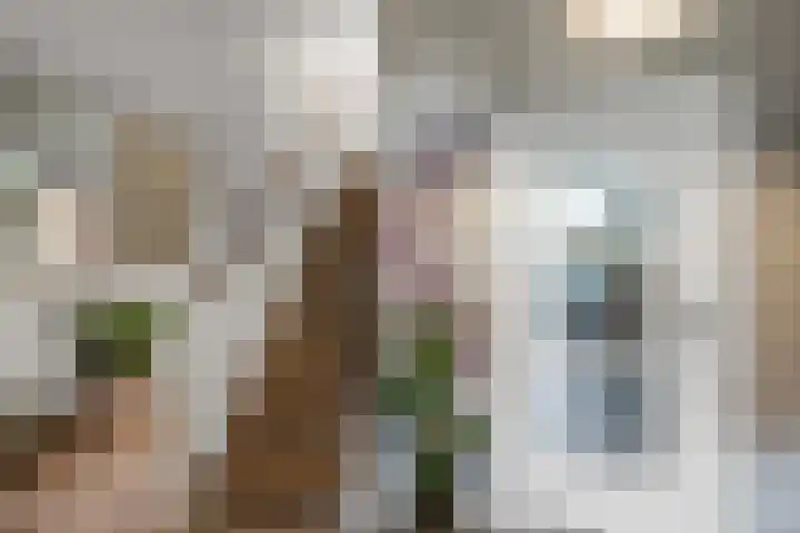 Krayenhofflaan 13 Heemskerk thumbnail 21