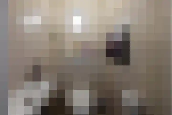 Krayenhofflaan 13 Heemskerk thumbnail 22