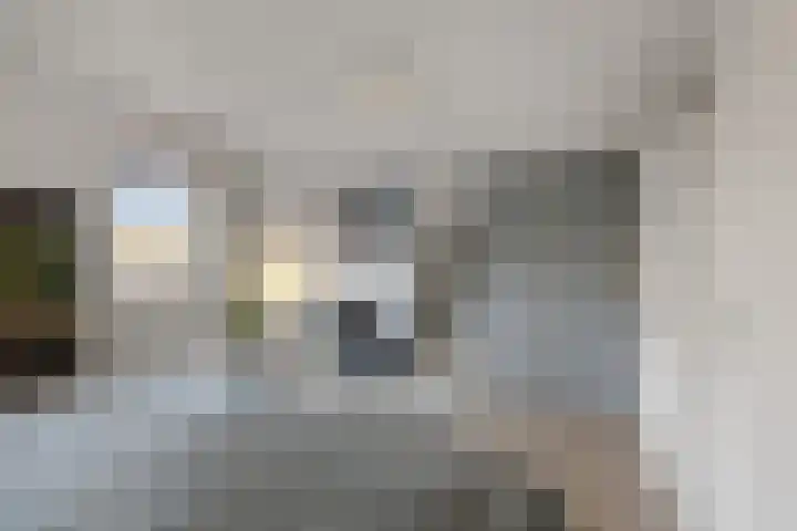 Krayenhofflaan 13 Heemskerk thumbnail 29