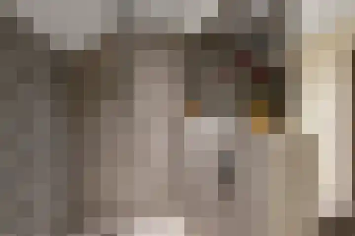 Krayenhofflaan 13 Heemskerk thumbnail 31