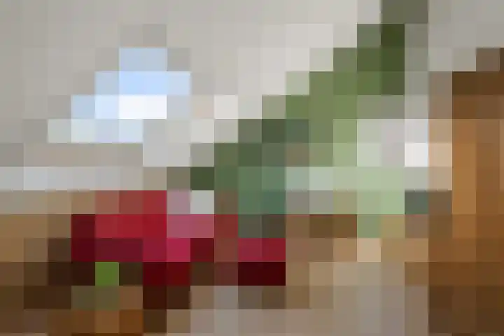 Krayenhofflaan 13 Heemskerk thumbnail 33