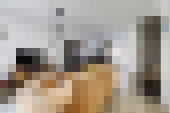 Krayenhofflaan 13 Waalwijk thumbnail 10