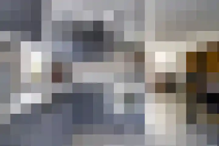 Krayenhofflaan 13 Waalwijk thumbnail 12