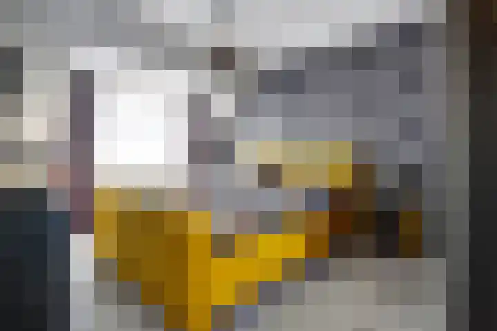 Krayenhofflaan 13 Waalwijk thumbnail 14