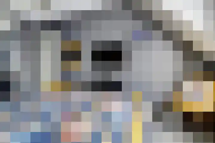 Krayenhofflaan 13 Waalwijk thumbnail 15