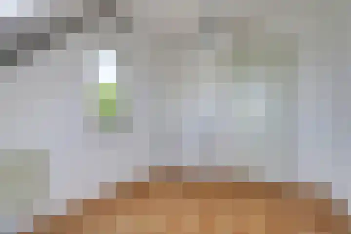 Krayenhofflaan 13 Waalwijk thumbnail 21