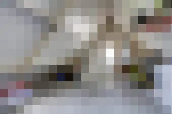 Krayenhofflaan 13 Waalwijk thumbnail 22