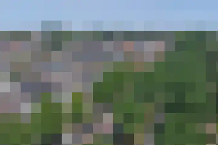 Krayenhofflaan 13 Waalwijk thumbnail 5