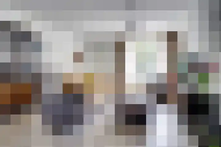 Krayenhofflaan 13 Waalwijk thumbnail 6