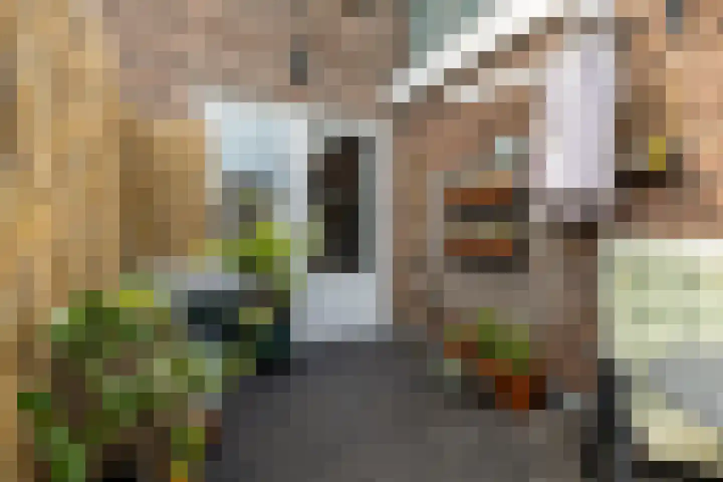 Krayenhofflaan 281 Nijmegen thumbnail 23