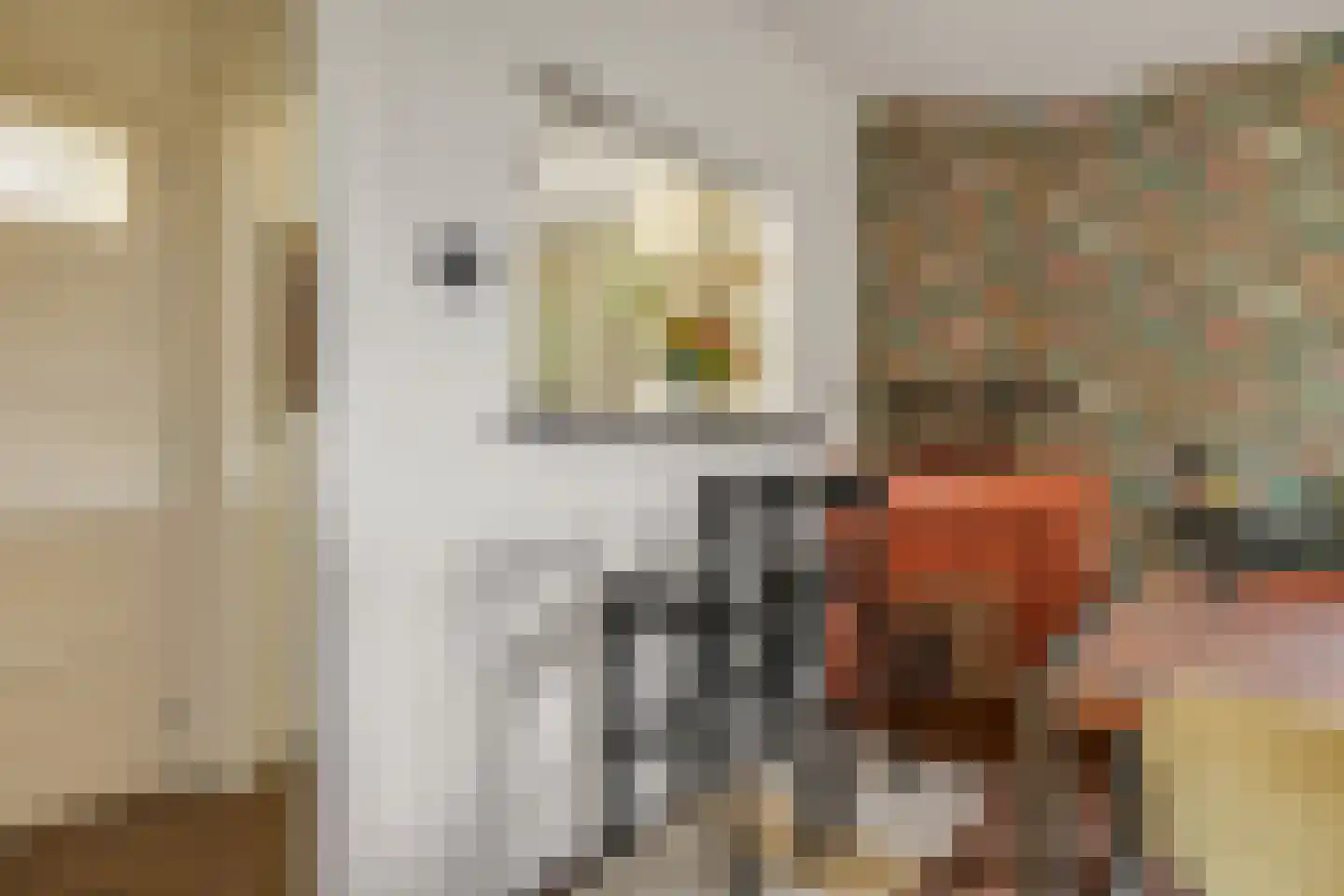 Krayenhofflaan 281 Nijmegen thumbnail 7