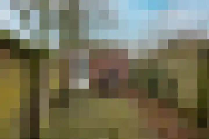 Krayenhofflaan 307 Nijmegen thumbnail 37