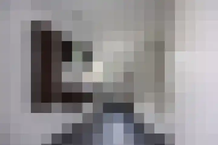 Krayenhofflaan 307 Nijmegen thumbnail 5