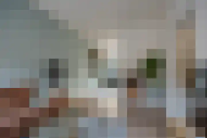 Krayenhofflaan 307 Nijmegen thumbnail 6