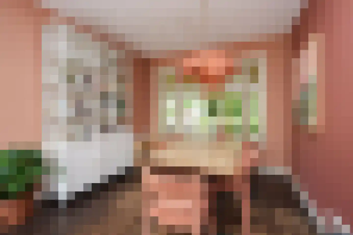 Krayenhofflaan 34 Nijmegen thumbnail 10