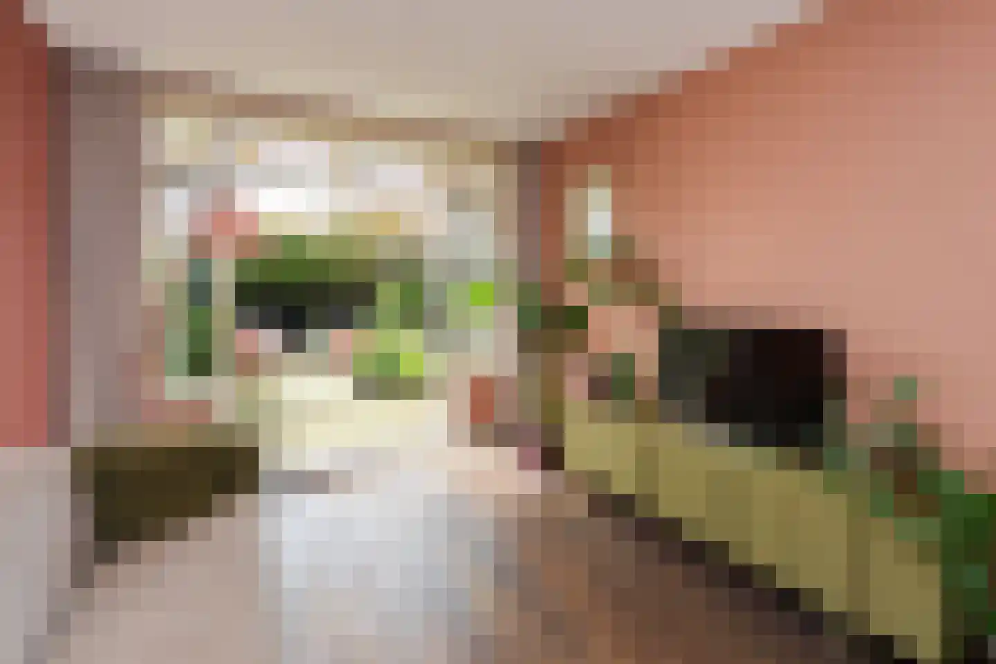 Krayenhofflaan 34 Nijmegen thumbnail 11