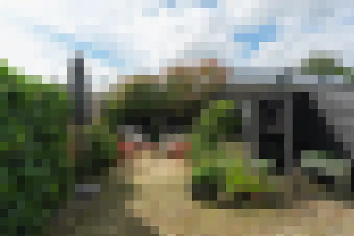 Krayenhofflaan 34 Nijmegen thumbnail 36