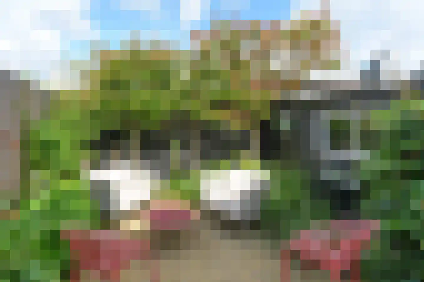 Krayenhofflaan 34 Nijmegen thumbnail 38