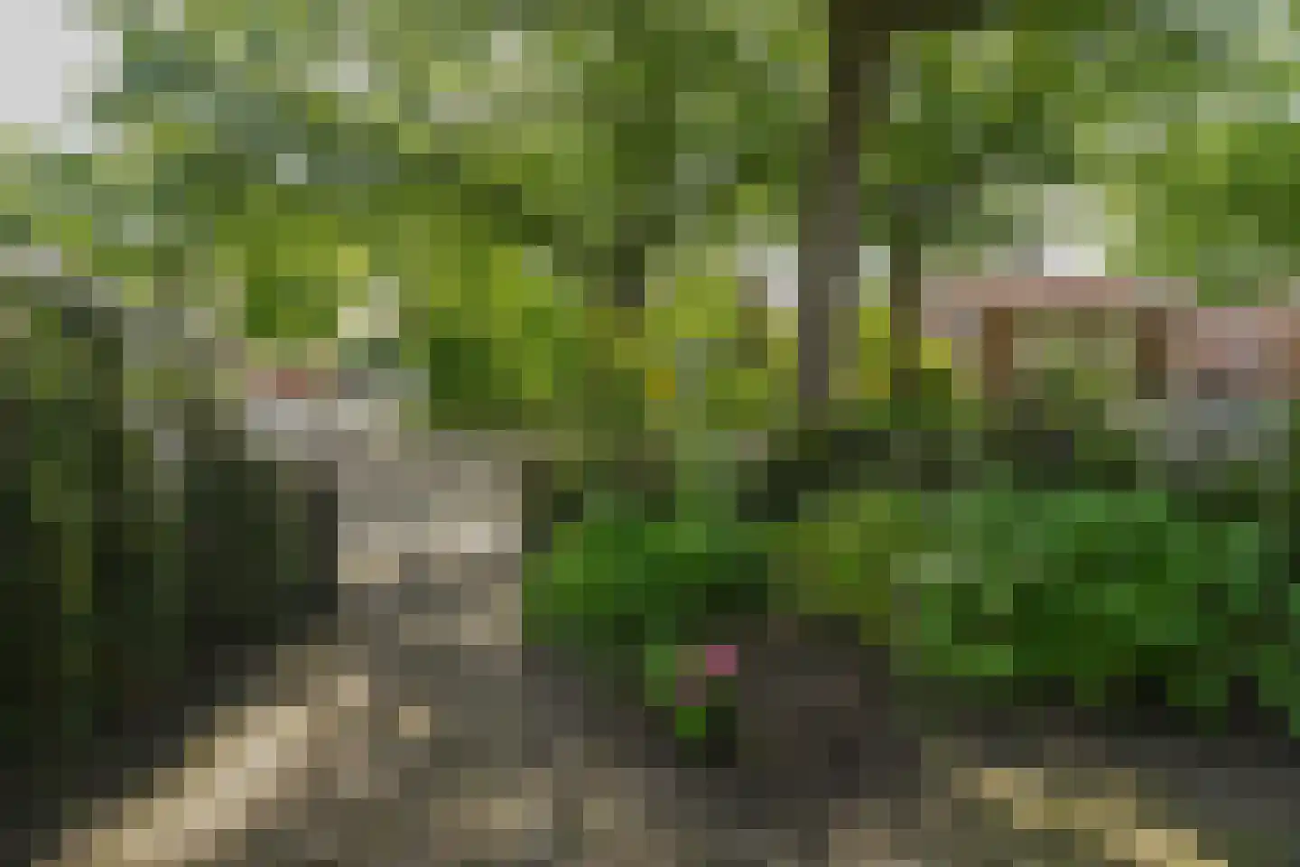 Krayenhofflaan 34 Nijmegen thumbnail 43