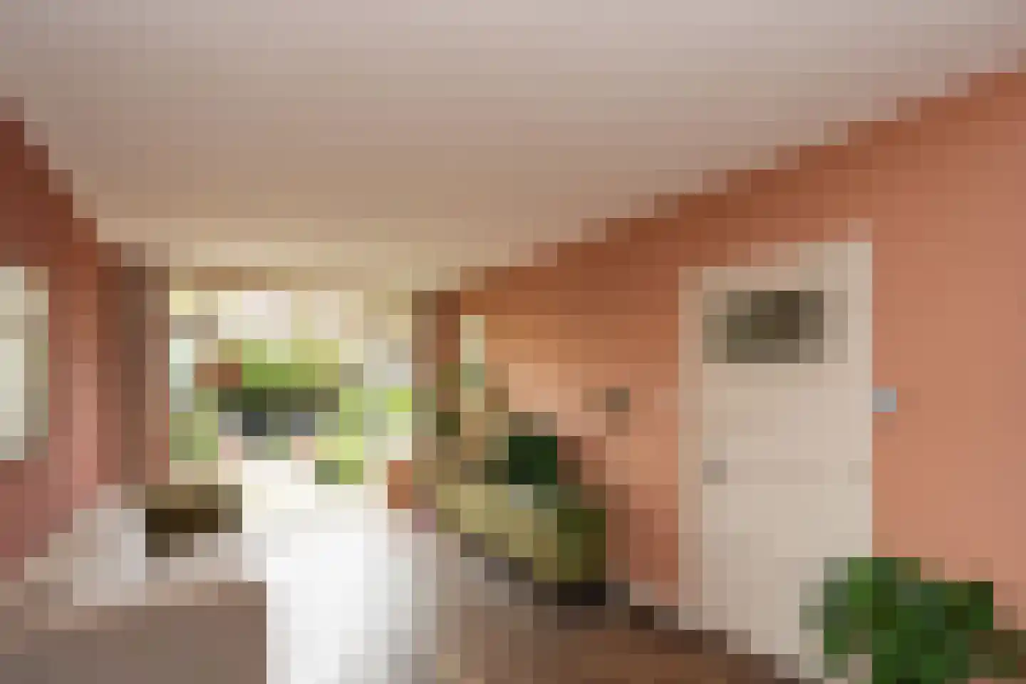 Krayenhofflaan 34 Nijmegen thumbnail 8