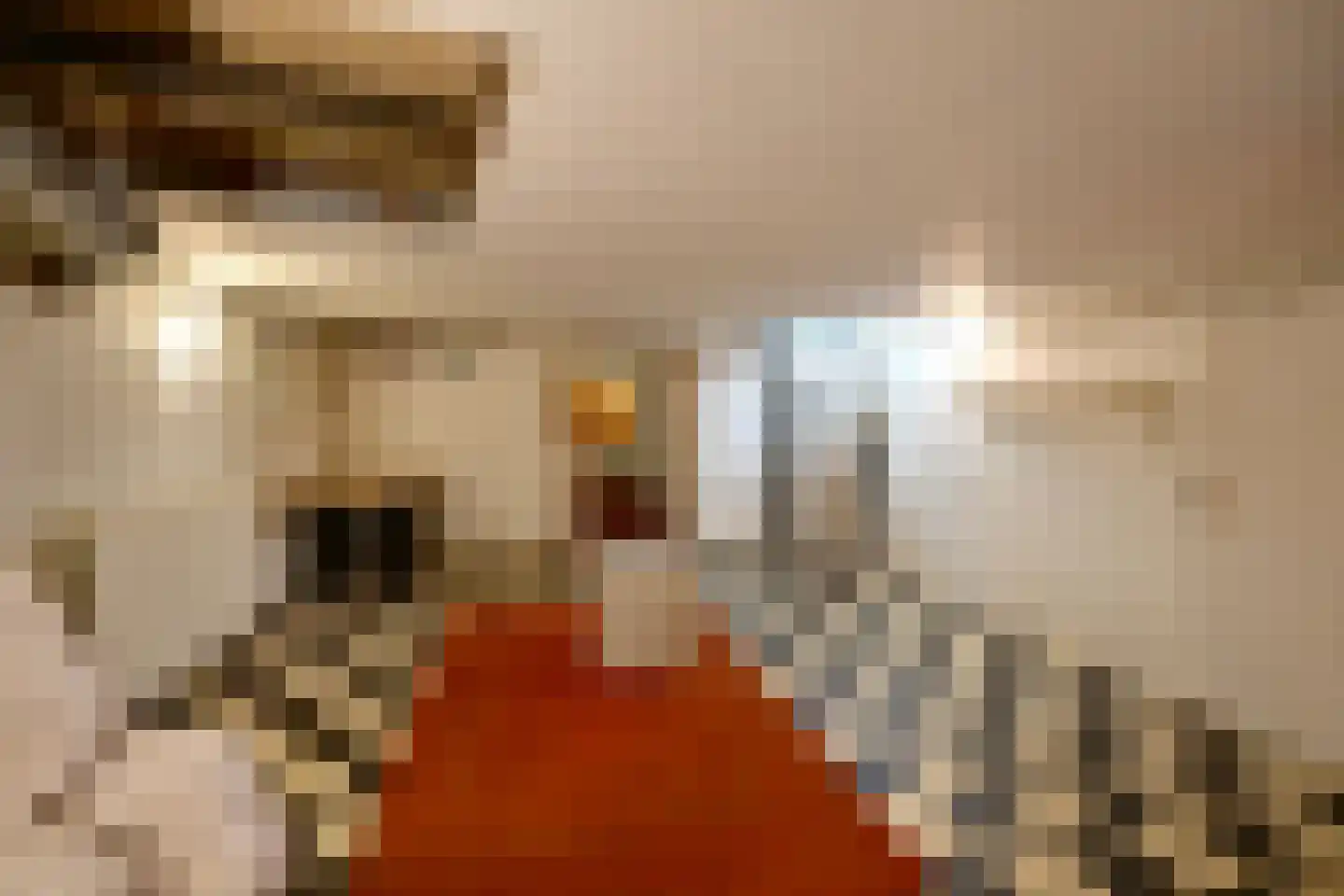 Krayenhoffstraat 1 Hilversum thumbnail 13