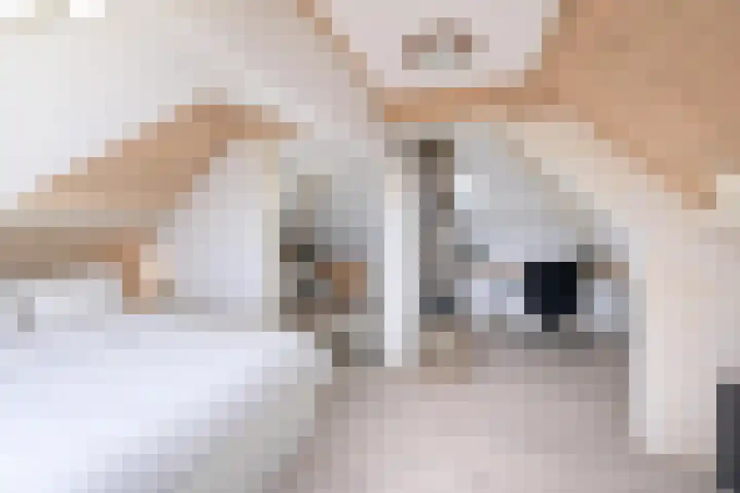 Krayenhoffstraat 1 Hilversum thumbnail 21