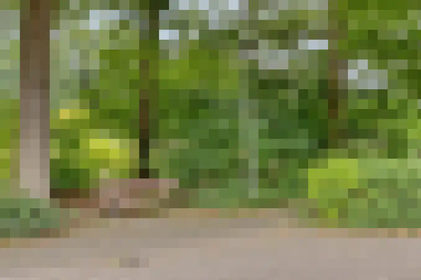 Krebberskamp 2 Eibergen thumbnail 36