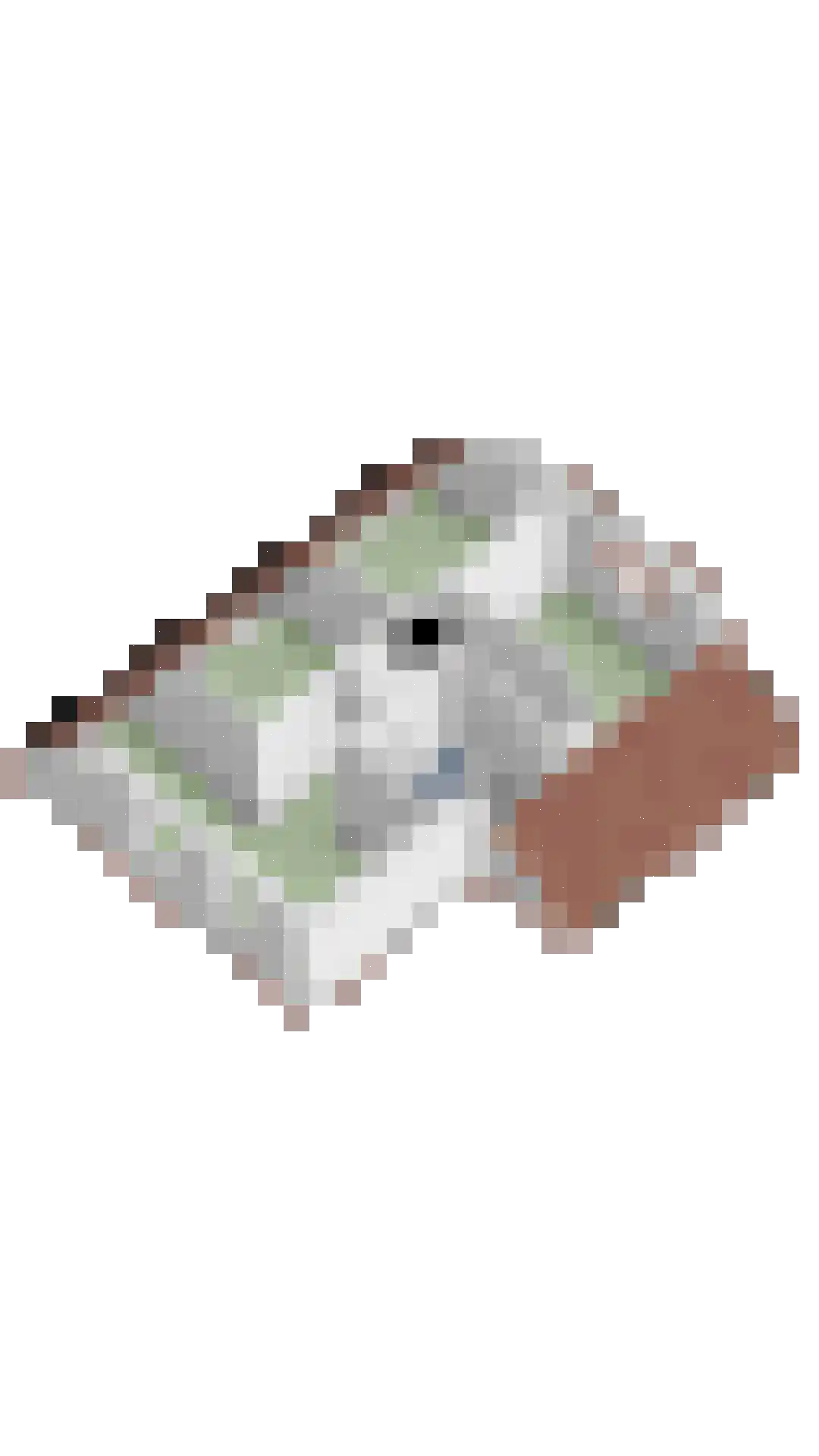 Krebberskamp 2 Eibergen thumbnail 42