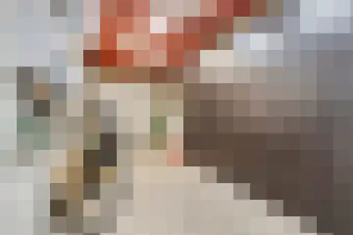 Kreeft 16 Katwijk thumbnail 11