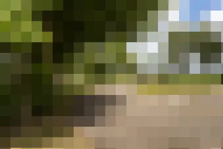 Kreeft 16 Katwijk thumbnail 16