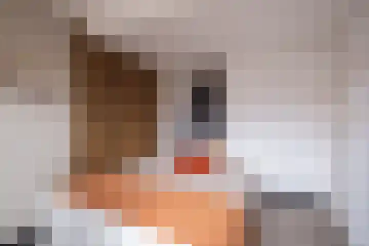 Kreeft 16 Katwijk thumbnail 22