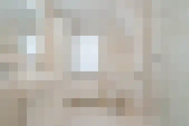 Kreeft 16 Katwijk thumbnail 26