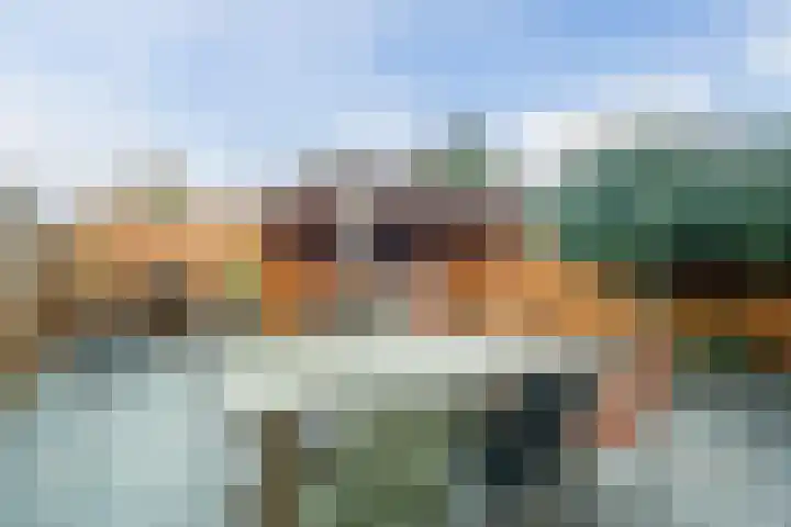 Kreeft 16 Katwijk thumbnail 31