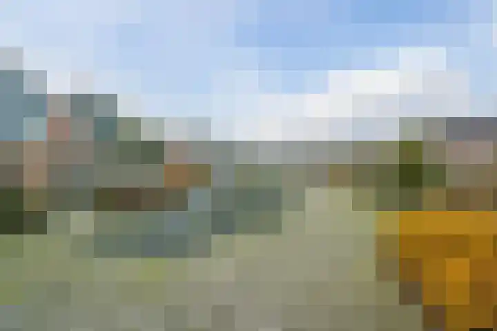 Kreeft 16 Katwijk thumbnail 35