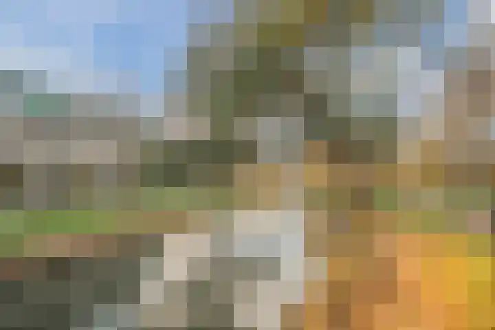 Kreeft 16 Katwijk thumbnail 37