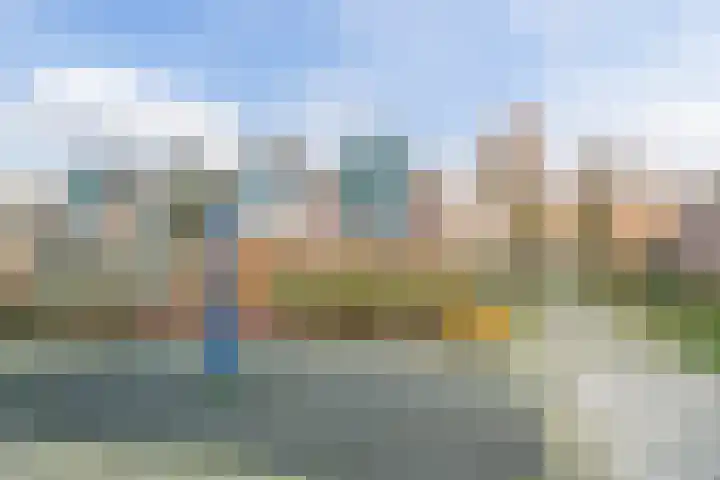 Kreeft 16 Katwijk thumbnail 5