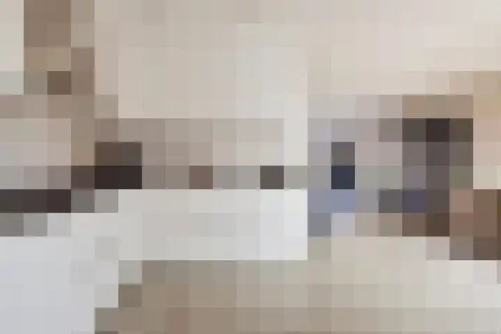 Kreeft 16 Klazienaveen thumbnail 10