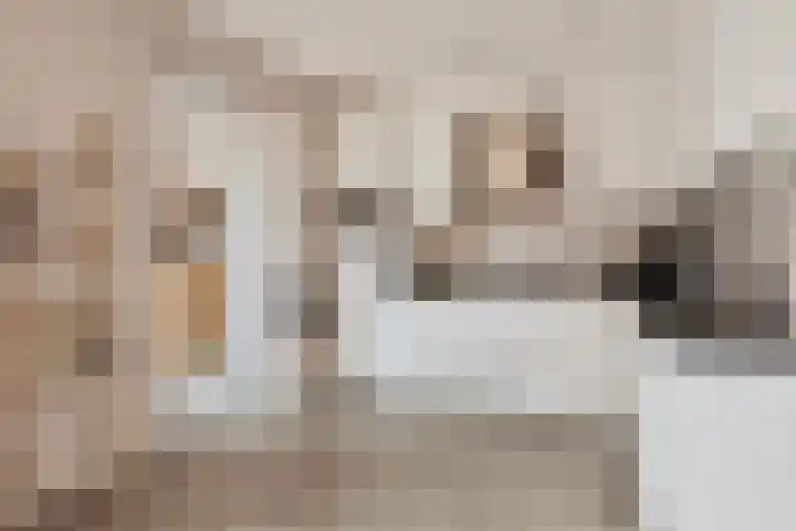 Kreeft 16 Klazienaveen thumbnail 11