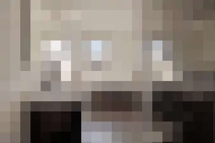 Kreeft 16 Klazienaveen thumbnail 14