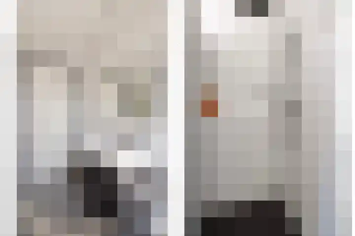 Kreeft 16 Klazienaveen thumbnail 15