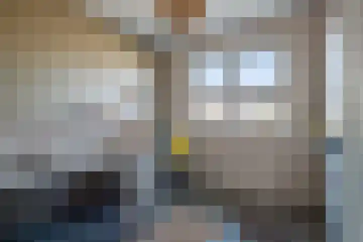 Kreeft 16 Klazienaveen thumbnail 18
