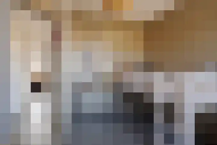 Kreeft 16 Klazienaveen thumbnail 19