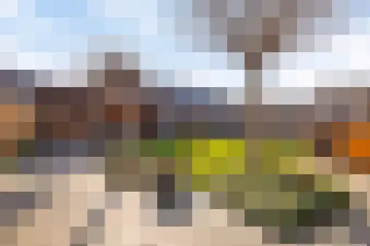 Kreeft 16 Klazienaveen thumbnail 24