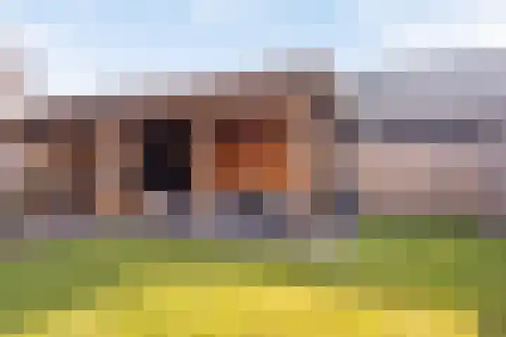 Kreeft 16 Klazienaveen thumbnail 25