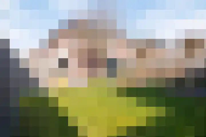 Kreeft 16 Klazienaveen thumbnail 26