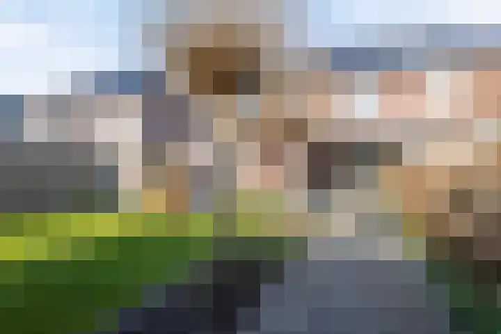 Kreeft 16 Klazienaveen thumbnail 27