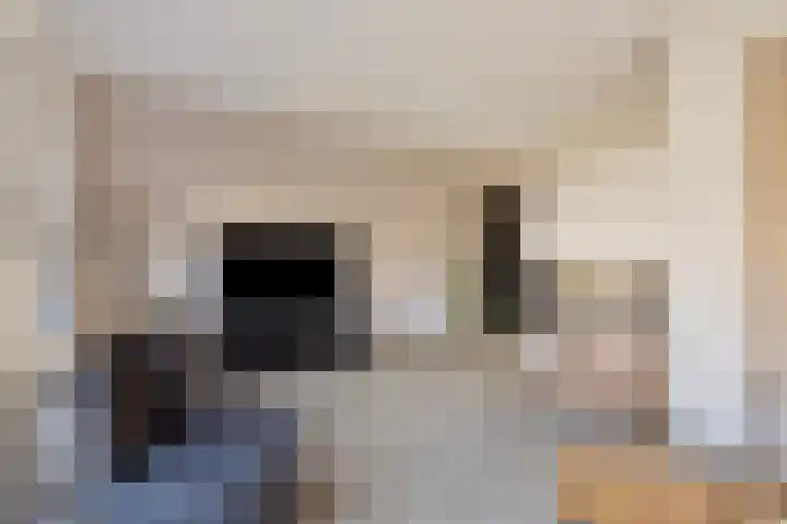Kreeft 16 Klazienaveen thumbnail 4