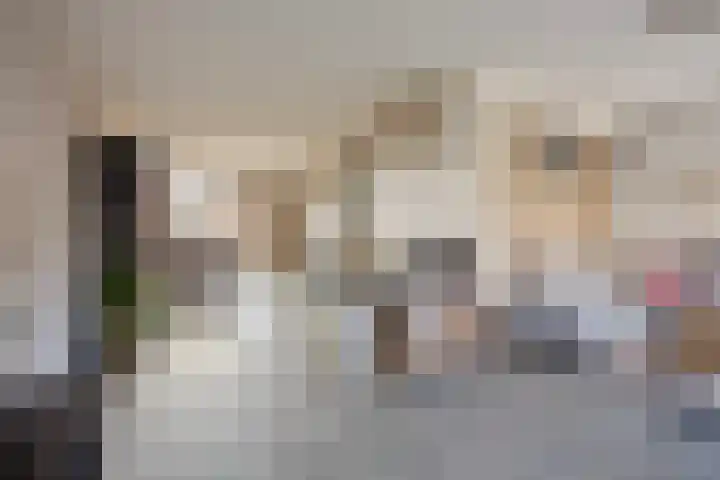 Kreeft 16 Klazienaveen thumbnail 5