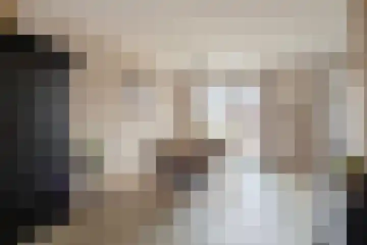 Kreeft 16 Klazienaveen thumbnail 6
