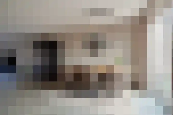 Kreeft 16 Klazienaveen thumbnail 7